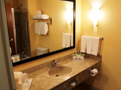 Hotel Holiday Inn Express & Suites Harrisburg West Mechanicsburg